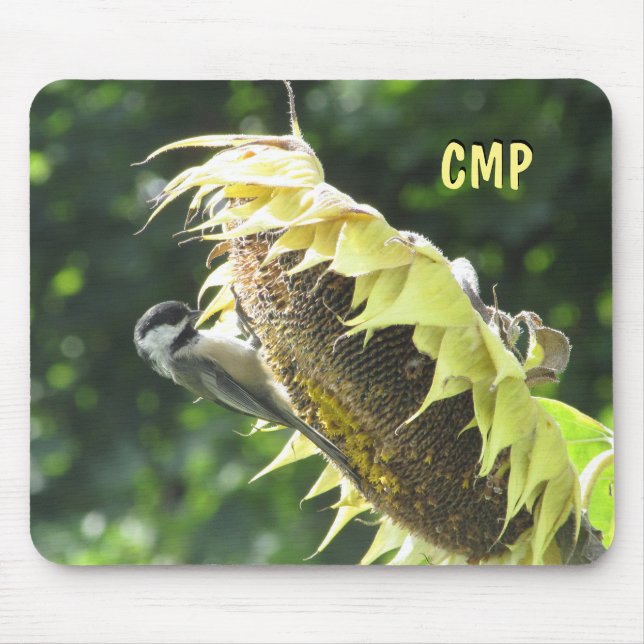 Mousepad Chickadee Comendo Sementes de Girassol (Frente)