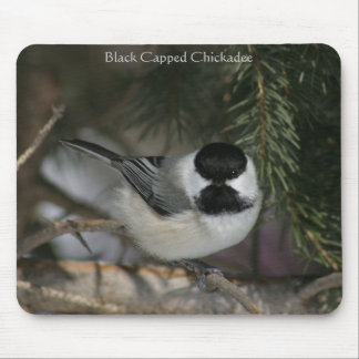 Mousepad Chickadee Preto