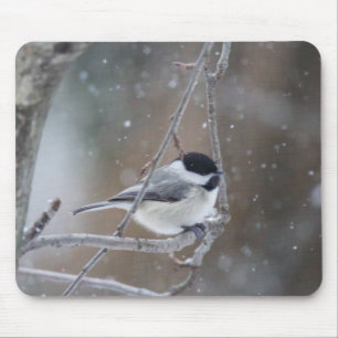 Mousepad Chickadee Preto-tampado - aves canoras