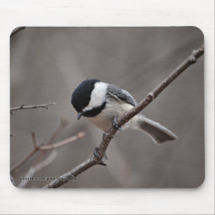 Mousepad Chickadee tampado preto