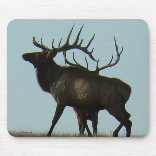 Mousepad Chifres dos alces de E11 Bull na silhueta do (Frente)