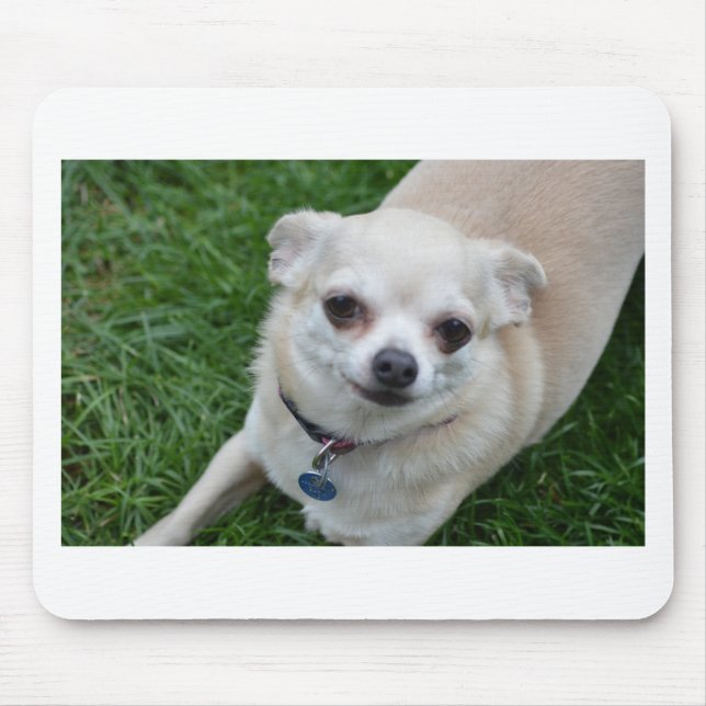 Mousepad Chihuahua (Frente)
