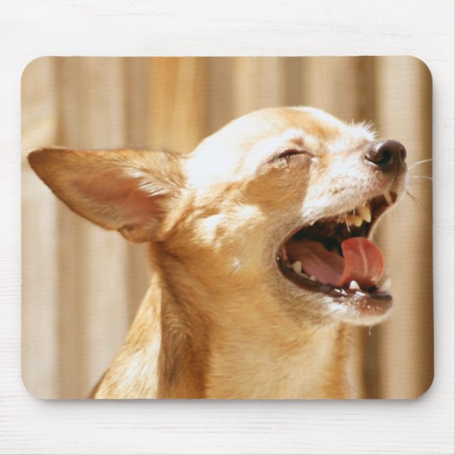Mousepad Chihuahua de riso (Frente)
