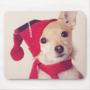 Mousepad Chihuahua no boné do inverno