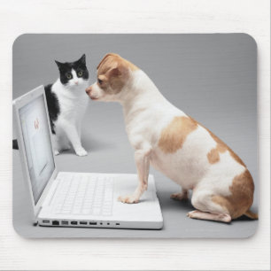 Mousepad Chihuahua que olha na tela de um laptop