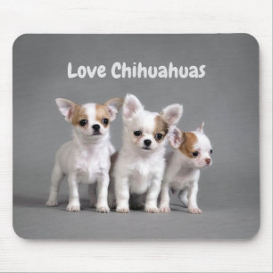 Mousepad Chihuahuas do amor