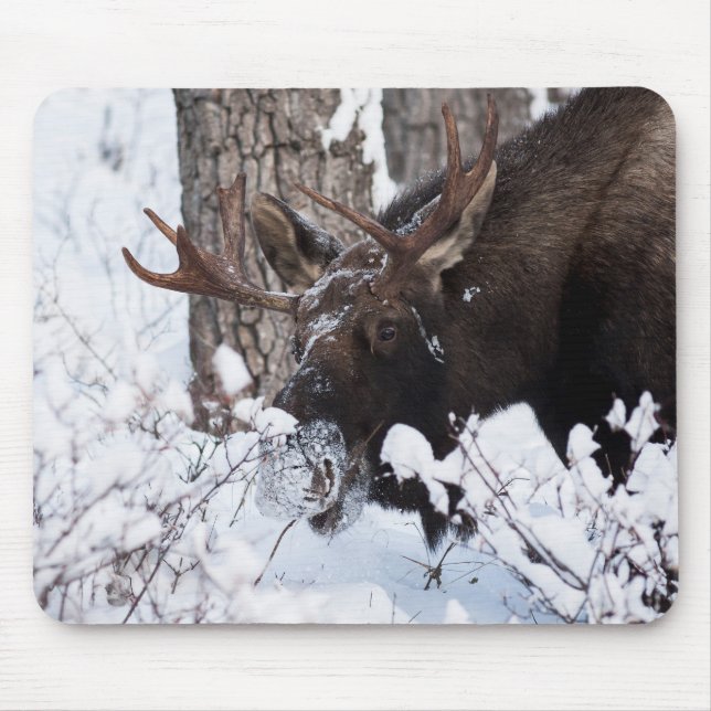 Mousepad Chilly Moose (Frente)