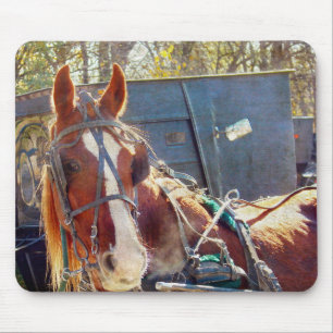 Mousepad Chilning Amish Horse