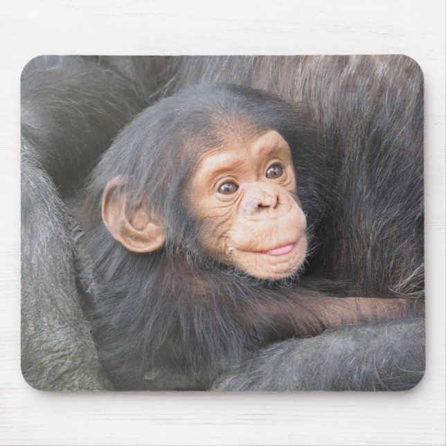 Mousepad Chimpanzé (Frente)