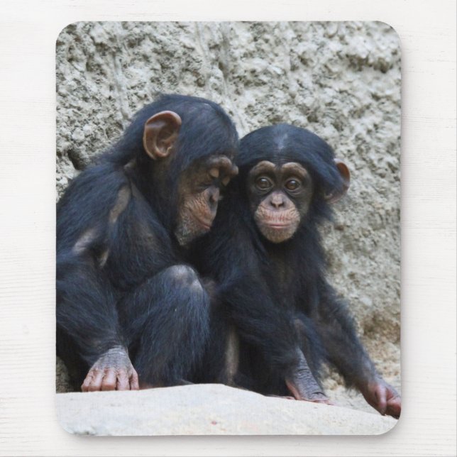 Mousepad Chimpanzé 002 (Frente)