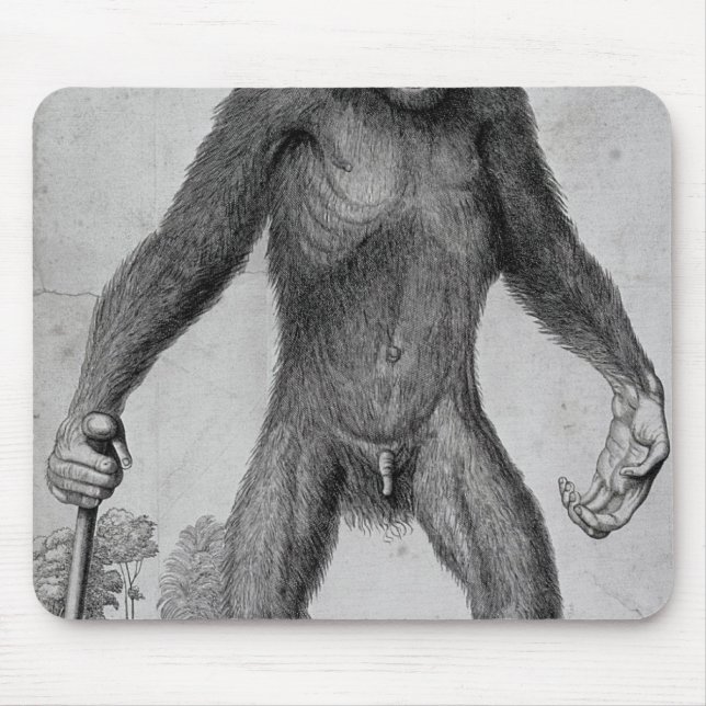 Mousepad Chimpanzé, 1699 (Frente)
