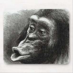 Mousepad Chimpanzé decepcionado e Sulky