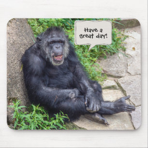 Mousepad chimpanzé inclinado para a rocha