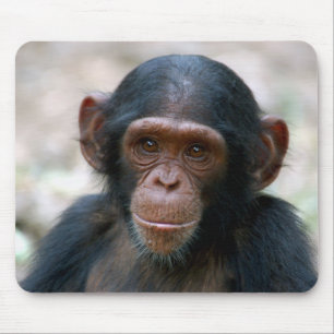 Mousepad Chimpanzé insolente