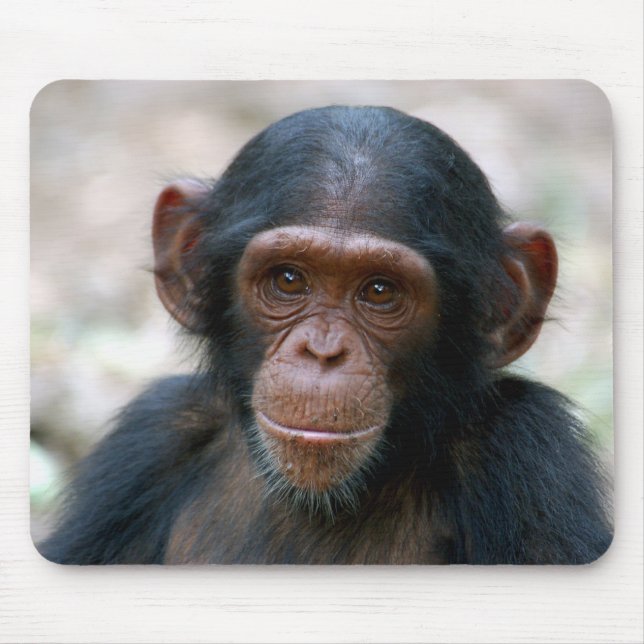 Mousepad Chimpanzé insolente (Frente)