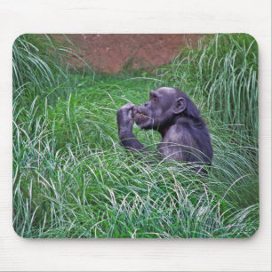 Mousepad Chimpanzé Sentado Na Grama Alta