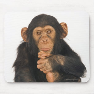 Mousepad Chimpanzé (troglodytes da bandeja). Playfull novo