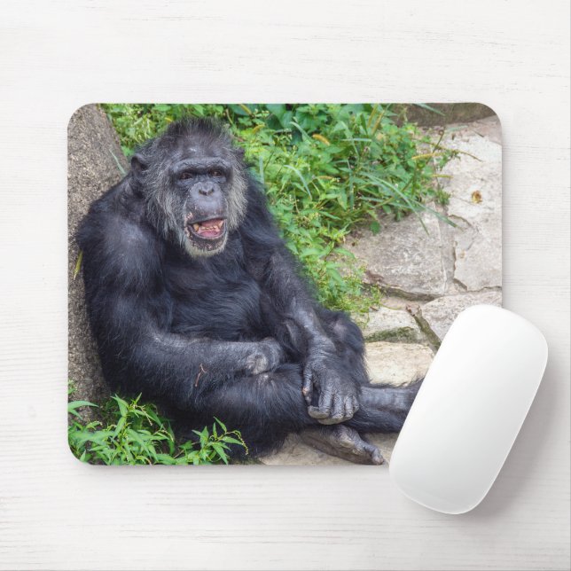 Mousepad Chimpanzee Debruçando-Se Sobre Rock (Com mouse)