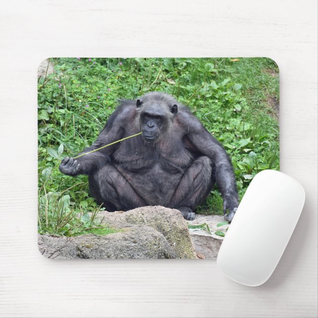 Mousepad Chimpanzee Eating Grass (Com mouse)