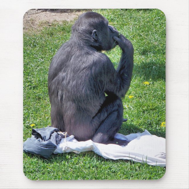 MOUSEPAD CHIMPANZÉS (Frente)