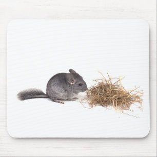 Mousepad chinchillas