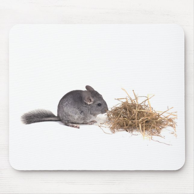 Mousepad chinchillas (Frente)
