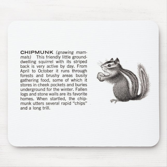 Mousepad chipmunk (Frente)