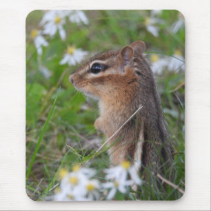 Mousepad Chipmunk Adorável das flores