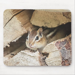 Mousepad Chipmunk em uma pilha de madeira