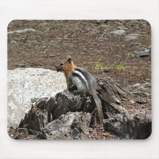 Mousepad Chipmunk em Yosemite, Califórnia (Frente)