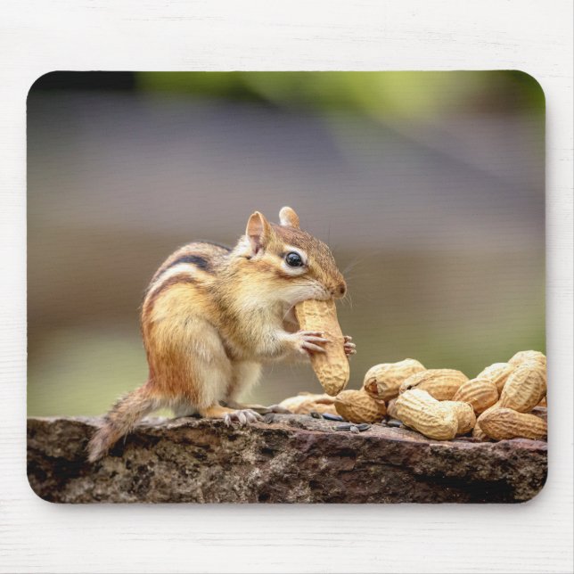 Mousepad Chipmunk que come um amendoim (Frente)