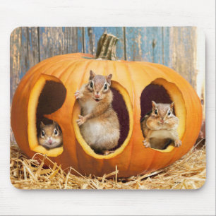 Mousepad Chipmunks Dentro Boo Jack-o-Lanterna