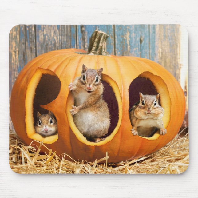 Mousepad Chipmunks Dentro Boo Jack-o-Lanterna (Frente)