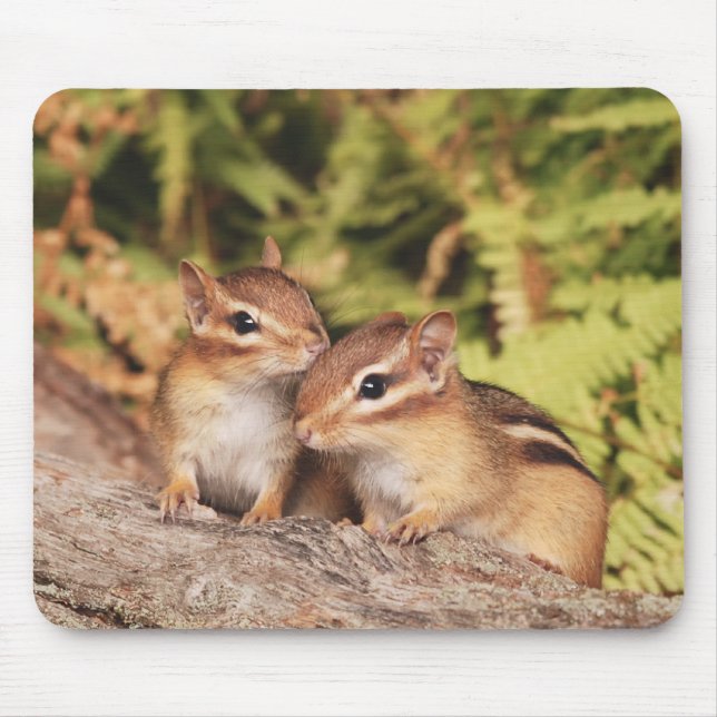 Mousepad Chipmunks do bebê dos melhores amigos (Frente)