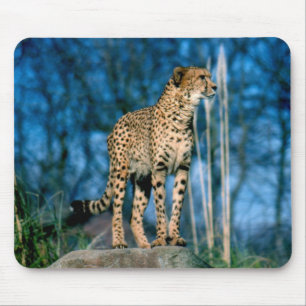 Mousepad Chita