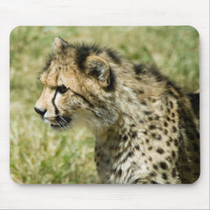 Mousepad Chita