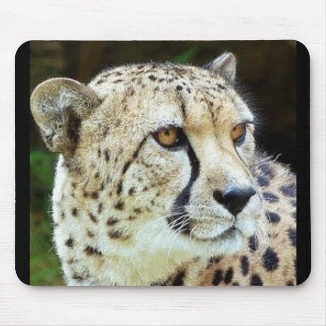 Mousepad chita (Frente)