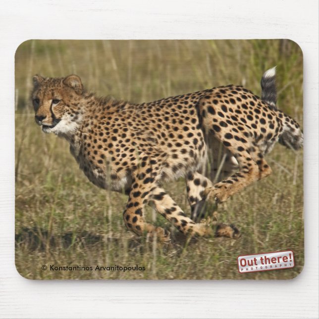 Mousepad Chita (Frente)