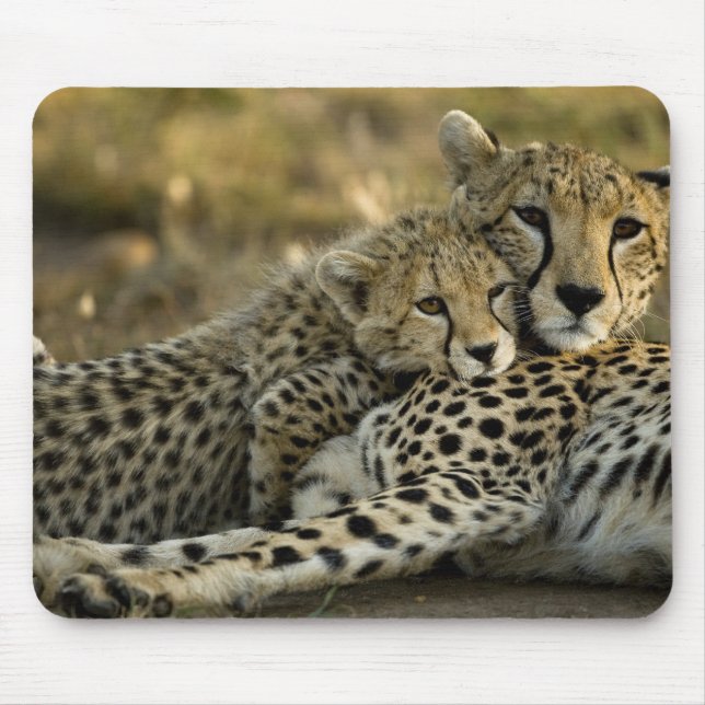 Mousepad Chita, Acinonyx jubatus, com filhote no Masai 2 (Frente)