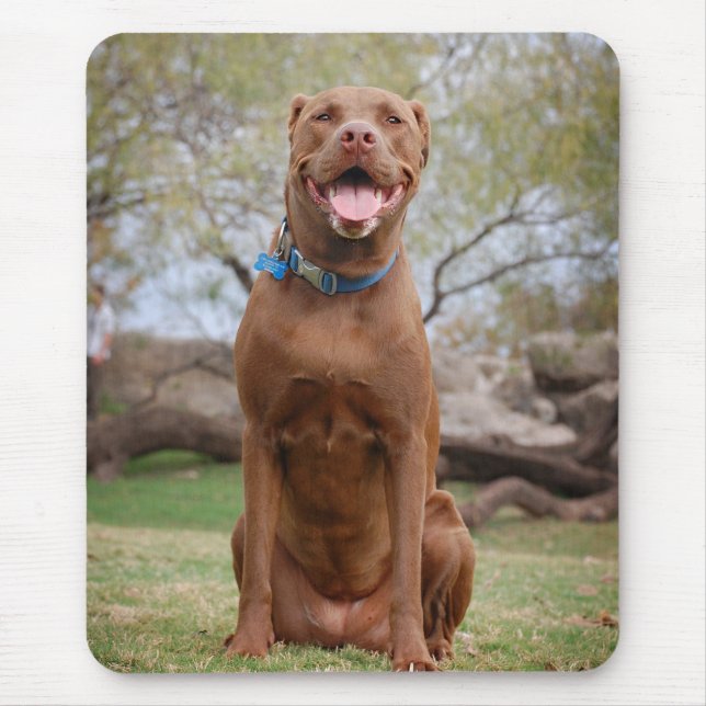 Mousepad Chocolate Lab Misturar Cachorro Sorrindo 2 (Frente)