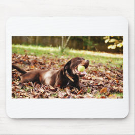 Mousepad Chocolate Labrador Brincando Com Bola