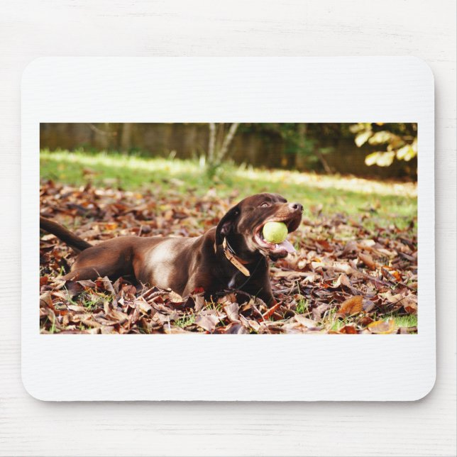 Mousepad Chocolate Labrador Brincando Com Bola (Frente)