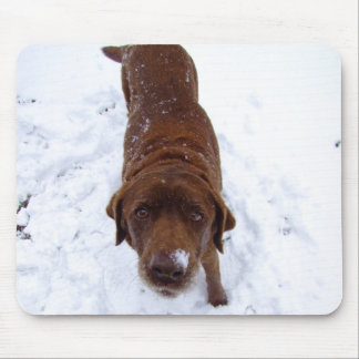 Mousepad Chocolate Labrador na neve