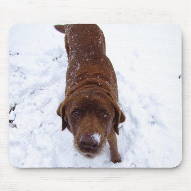 Mousepad Chocolate Labrador na neve (Frente)