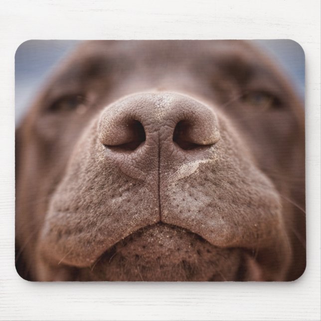 Mousepad Chocolate Labrador Nose Closeup (Frente)