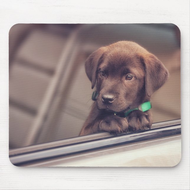 Mousepad Chocolate Labrador Pupido No Carro (Frente)