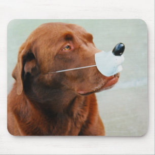 Mousepad Chocolate Labrador que veste um nariz falsificado