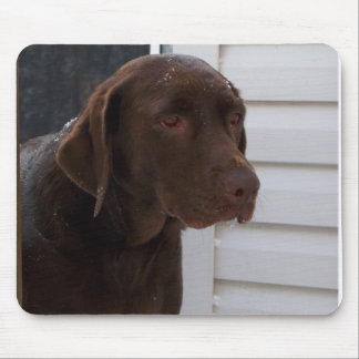 Mousepad Chocolate labrador retriever