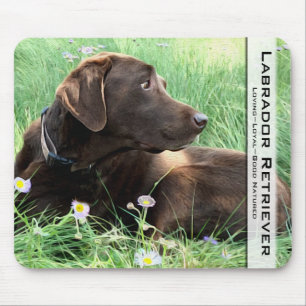 Mousepad Chocolate Labrador Retriever Caça Foto de Cão
