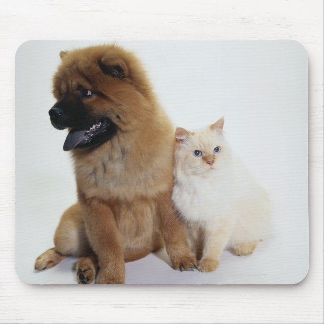 Mousepad Chow Chow e um Gato Branco sentados juntos (Frente)